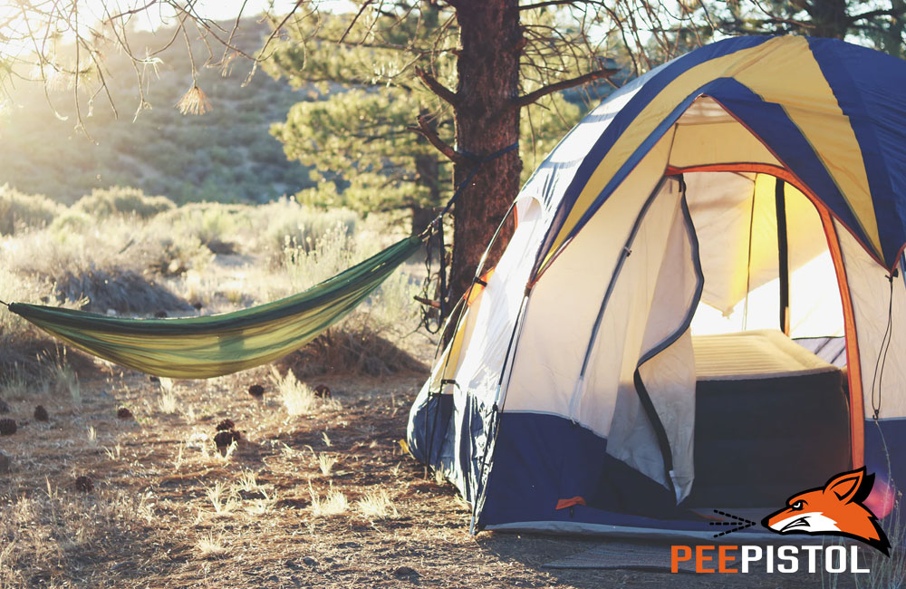 Hiking and Camping Essentials